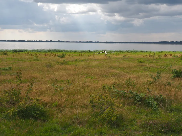 Halshuisene + Enebaerodde Beach (Denemarken)